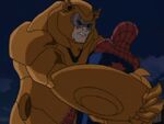 Grizzly Ultimate Spider-Man