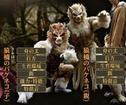 Bakeneko Makamou
