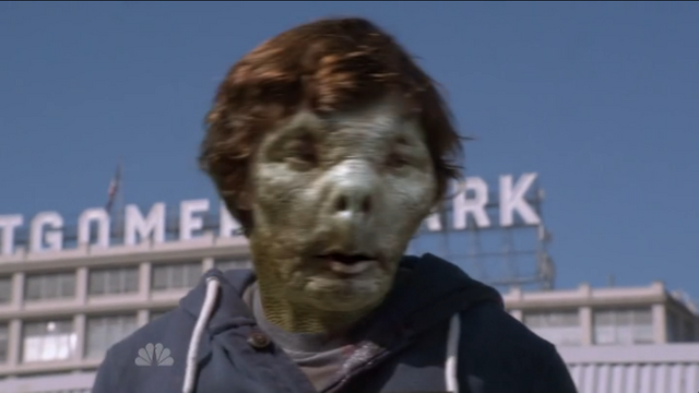 File:Turtle.png