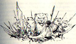 Raventail