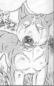 Bwblue008