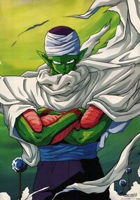 Piccolo3