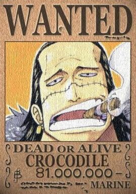 Crocodile 3