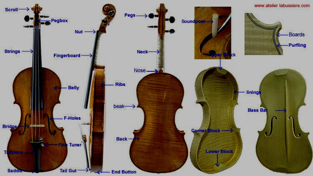File:Violin reference 1.jpg