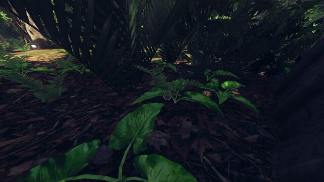File:OvergrowthEggCloseup.jpg