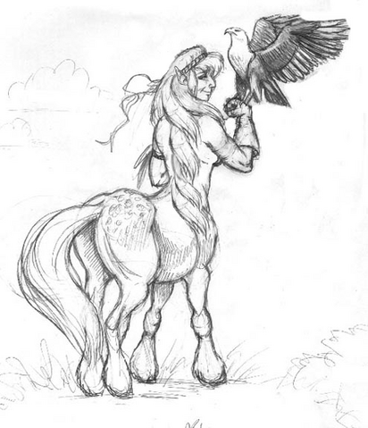 File:Falconry.png