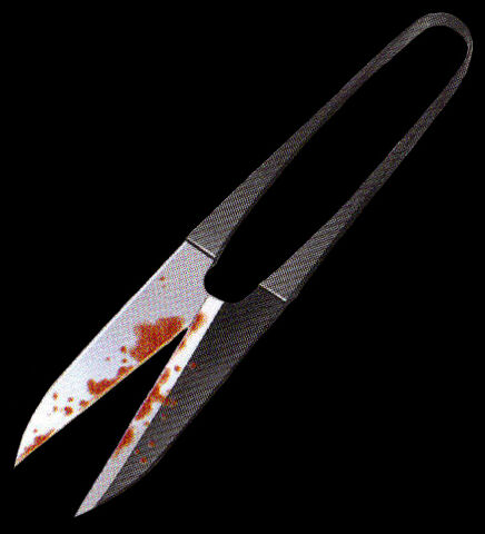 File:Scissors.jpg
