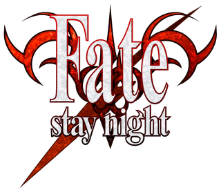 檔案:命運/停駐之夜.png