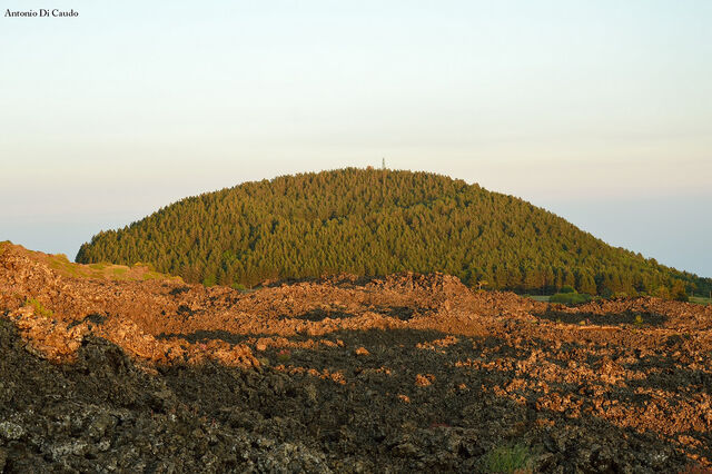 File:Image.jpeg