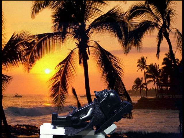 Plik:Vader na hwaii 01.jpg