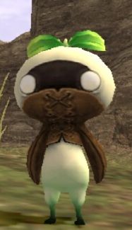 Plik:Mandragora.jpg
