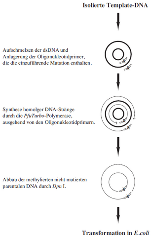 Datei:Hw 16a source.png