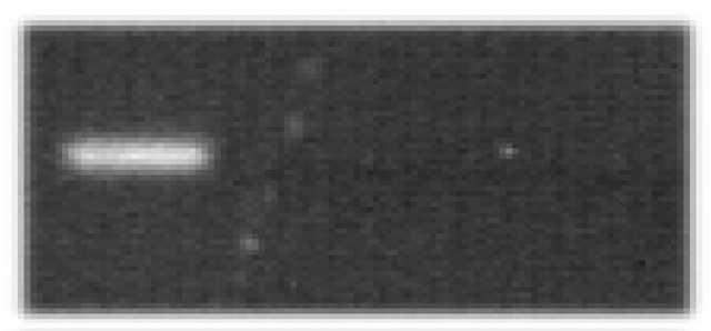Datei:Mag figure13b.png