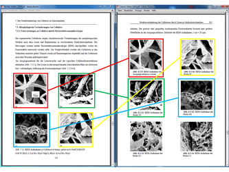 Fischer S131.png