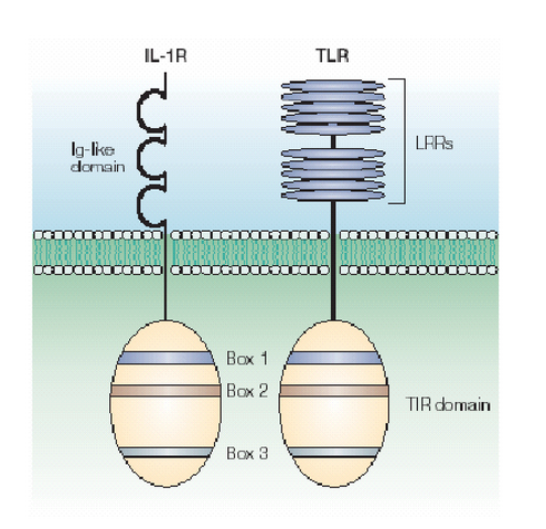 Datei:Ves-027-Abb-4.png
