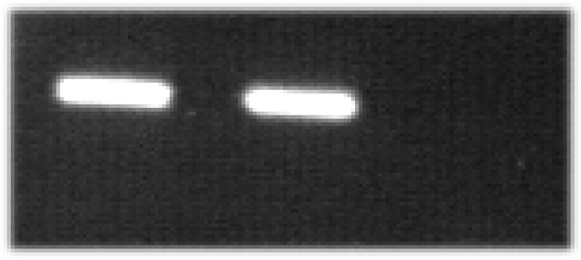 Datei:Mag figure24b.png