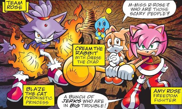 File:Team-Rose-archie-sonic-the-hedgehog-18293829-649-390.jpg