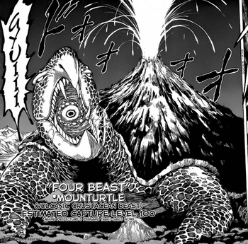 Mount Turtle