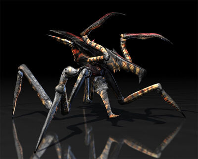 Arachnids