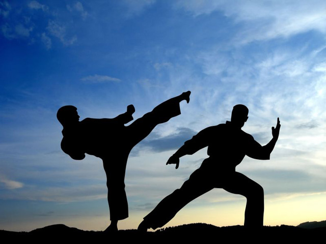 Martial Arts | VS Battles Wiki | FANDOM powered by Wikia