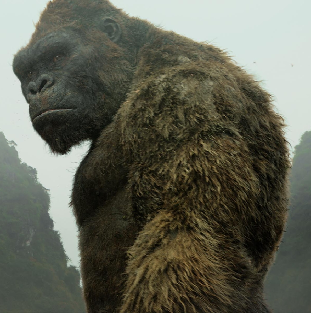 Kong Api Gateway Docker Compose