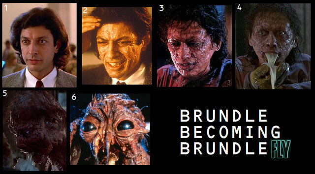 File:Brundle-becoming-brundlefly-the-fly-1986.jpg
