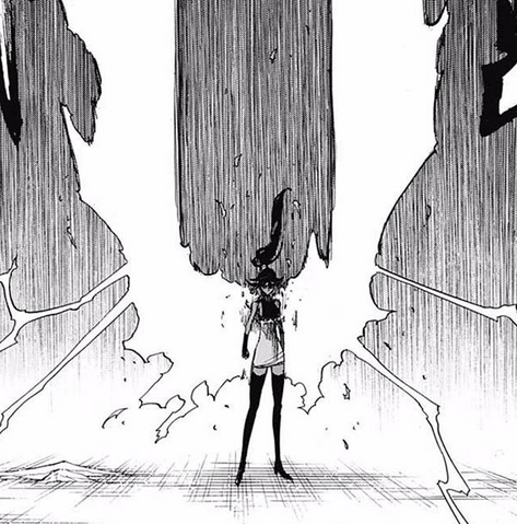 File:Yoruichi's Shunkō.png