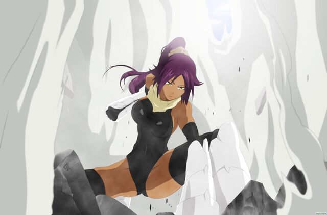 File:Yoruichi flash.jpg