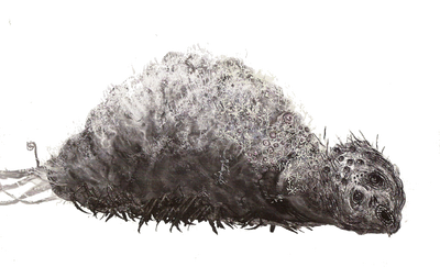 RomSpiderRender