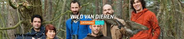 File:Carroussel Wild van Dieren.png