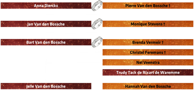 File:StamboomBartVandenBossche.png