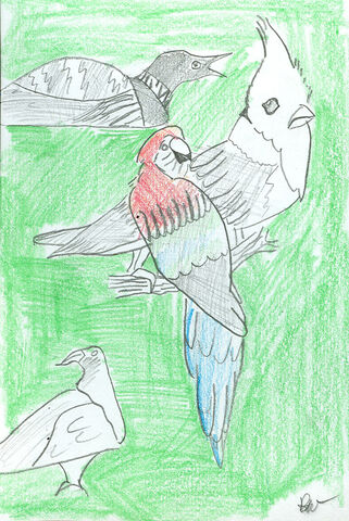 File:Robert Pinchin BIRDS.jpg
