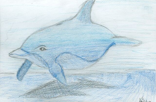 File:Anisha Kumar Dolphin.jpg