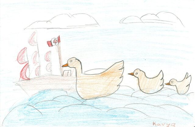 File:Kanya Kaluarachchi Ducks.jpg