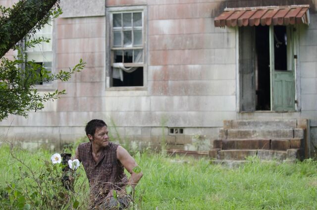 Fichier:Walking-dead-cherokee-rose1.jpg