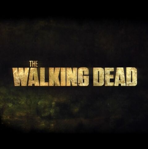 Fichier:TWD3.jpeg