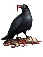 Thumbnail zombie crow