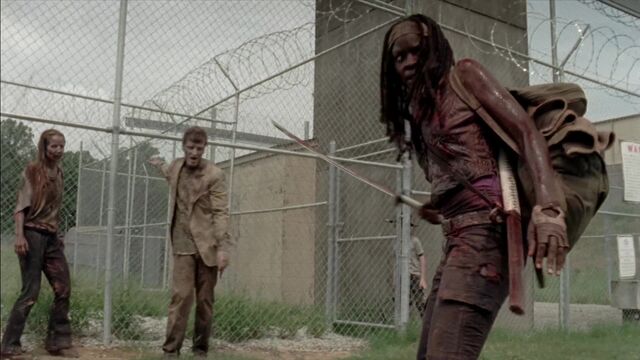 File:The Walking Dead S03E07 0353.jpg