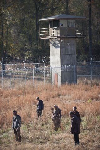 File:Walking-dead-walkers-season-3-finale-welcome-to-tombs-amc.jpg