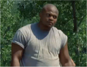 T-dog
