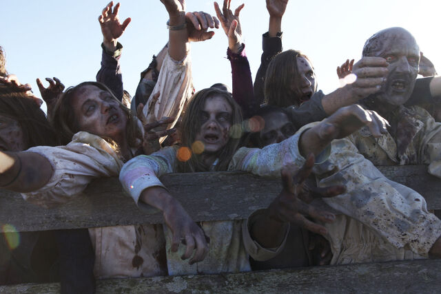 File:Episode-13-walkers-fence-1.jpg