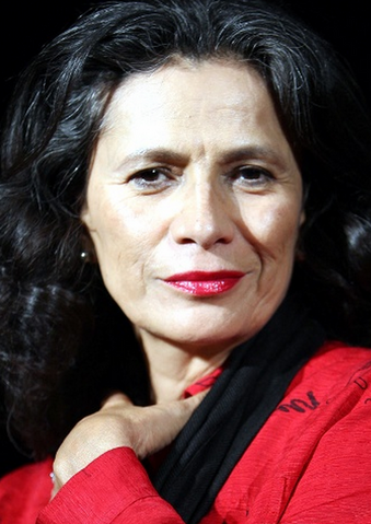 File:Patricia Reyes Spíndola.png
