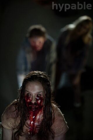 File:The-Walking-Dead-4-Temporada-S04E05-Internment-004.jpg