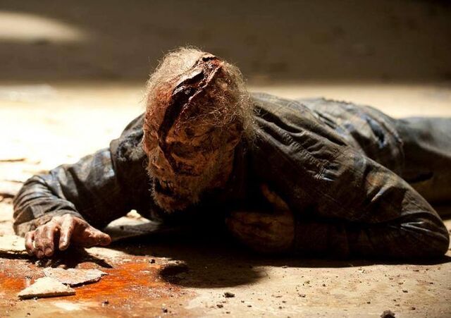File:Cracked Face Walker.jpg