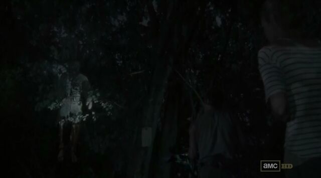 File:Tree Hanging walker.jpg