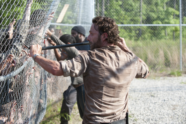 File:Fence.png