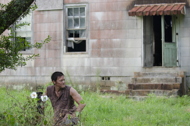 File:Walking-dead-cherokee-rose1.jpg