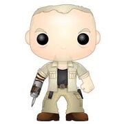 Merle Pop