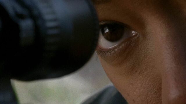 File:513 Focused Sasha.jpg