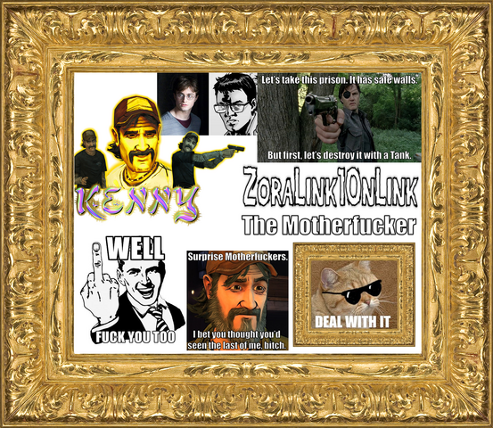 File:ZoraLink10nLink banner frame.png